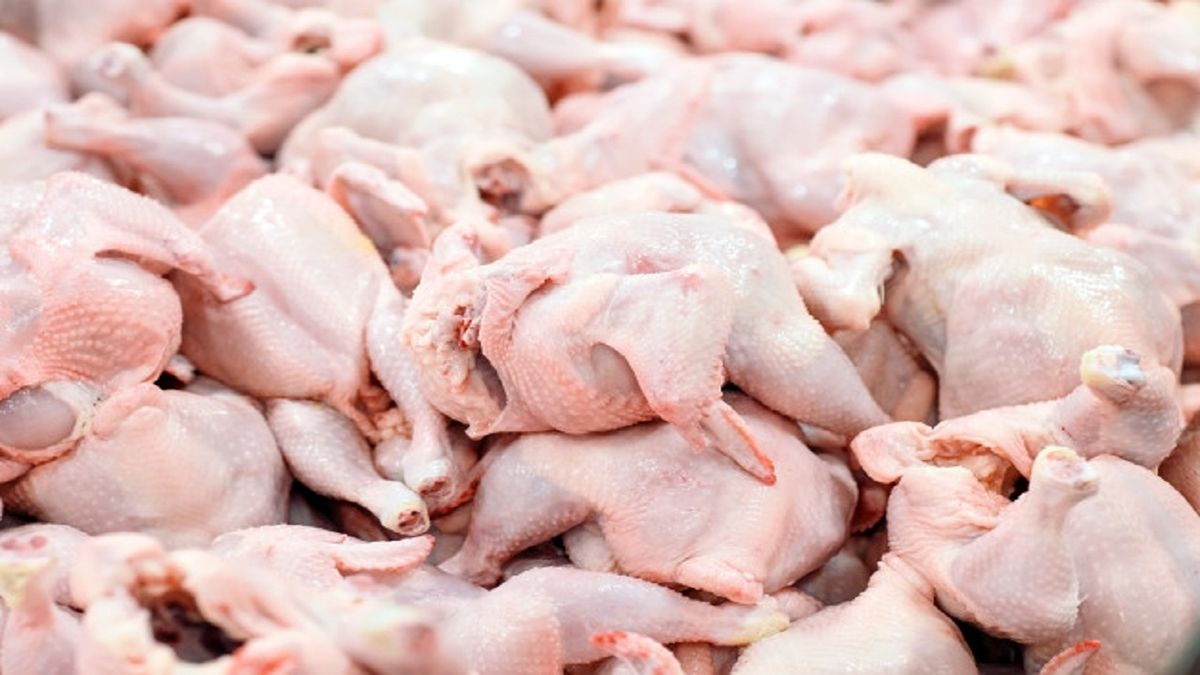  واردات گوشت مرغ آلوده به کشور کذب است