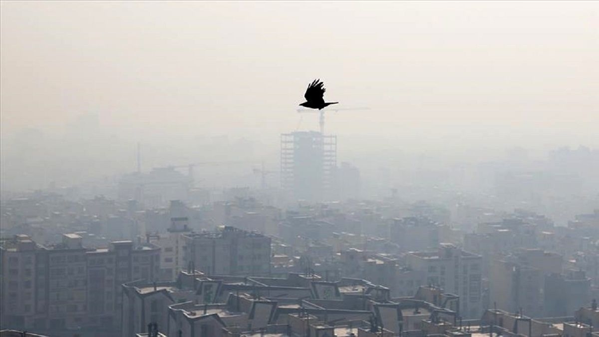 هوای آلوده برای کدام بیماران خطرناک است؛ در خانه بمانید!
