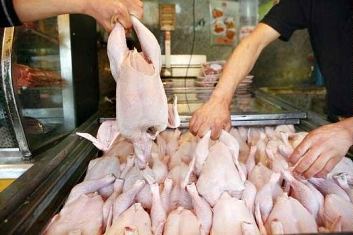 تولید گوشت سفید در کشور افزایش می‌یابد/ تکمیل زنجیره تولید