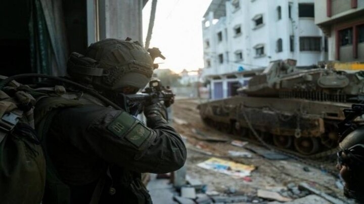 صهیونیست‌ها برای گسترش قحطی در غزه دام‌ها را هدف می‌گیرند