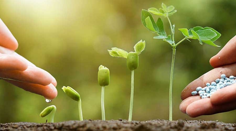 ‏ توسعه کشاورزی پایدار راهکار تامین امنیت غذایی ‏