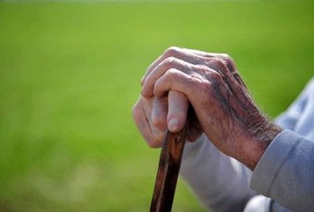 افزایش مشارکت جویی سالمندان با اجرای برنامه های هفته ملی سالمند  